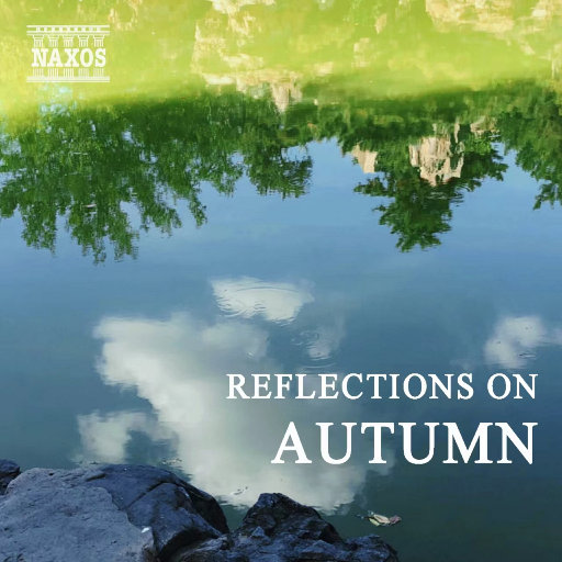 911色_911色sss在线观看
